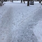 Snow On City - Maintained Sidewalk at 1616 8 Av NW