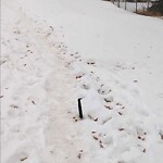 Debris on Street, Sidewalk, Boulevard at 5038 22 St SW