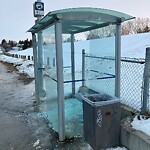 Bus Stop - Shelter Concern at 4112 4 St NW