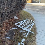 Debris on Street, Sidewalk, Boulevard at 703 24 Av NE