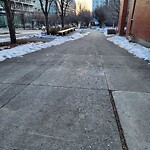 Debris on Street, Sidewalk, Boulevard at 917 Centre Av NE