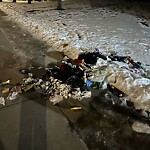 Debris on Street, Sidewalk, Boulevard at 131 Martinridge Gv NE