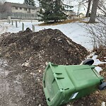 Backlane Maintenance at 222 Ranchlands Co NW