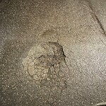 Pothole Repair at 1804 34 Av SW