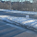 Sign on Street, Lane, Sidewalk - Repair or Replace at 123 Savanna Bv NE