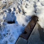 Catch Basin / Storm Drain Concerns at 501 9 St NE