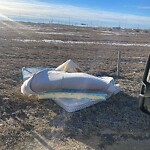 Debris on Street, Sidewalk, Boulevard at 292106 144 Av NE