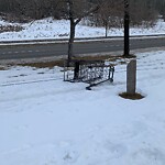 Debris on Street, Sidewalk, Boulevard at 123 Edgewood Dr NW