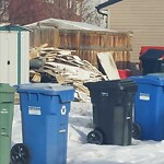 Debris on Backlane at 12 Auburn Bay Gr SE