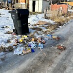 Debris on Backlane at 4220 16 Av SE