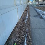 Debris on Street, Sidewalk, Boulevard at 6448 Old Banff Coach Rd SW