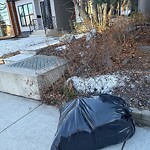 Debris on Street, Sidewalk, Boulevard at 2113 27 Av SW