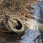 Debris on Backlane at 251 18 Av NE