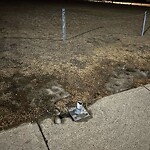 Sign on Street, Lane, Sidewalk - Repair or Replace at 7307 Hunterview Dr NW