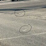 Debris on Street, Sidewalk, Boulevard at 16978 52 St SE