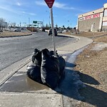 Debris on Street, Sidewalk, Boulevard at 155 Crowfoot Ci NW