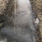 Sidewalk or Curb - Repair at 3116 14 St NW