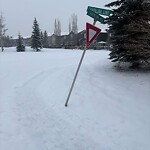 Sign on Street, Lane, Sidewalk - Repair or Replace at 88 Chapalina Ri SE