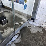 Bus Stop - Shelter Concern at 3915 Varmoor Rd NW