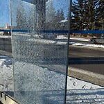 Bus Stop - Shelter Concern at 256 Cedarpark Dr SW