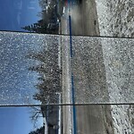 Bus Stop - Shelter Concern at Ca Woodbine Calgary