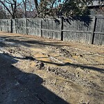 Backlane Maintenance at 3007 8 St SW
