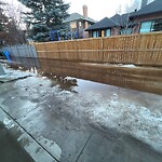 Backlane Maintenance at 1234 Lansdowne Av SW