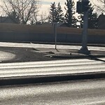 Road Signs on Street, Lane, Sidewalk - Repair or Replace at 1606 68 St NE