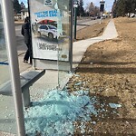 Bus Stop - Shelter Concern at 320 19 St NE