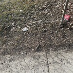 Bus Stop - Shelter Concern at 263 19 Av NE