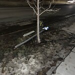 Bus Stop - Bench Concern at 186 Panatella Pa NW