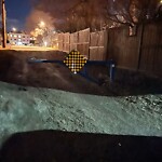 Backlane Maintenance at 1639 Shelbourne St SW