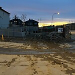 Debris on Street, Sidewalk, Boulevard at 142 Rock Lake Ht NW