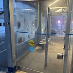 Bus Stop - Shelter Concern at 60 Taradale Dr NE