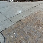 Debris on Street, Sidewalk, Boulevard at 302 12 Av SW