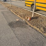 Debris on Street, Sidewalk, Boulevard at 4560 Seton Dr SE