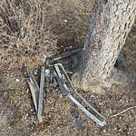 Debris on Street, Sidewalk, Boulevard at 2240 44 St SE