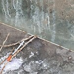 Bus Stop - Shelter Concern at 472 36 St NE