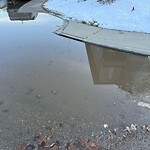 Catch Basin / Storm Drain Concerns at 801 23 Av NW