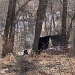 Debris on Street, Sidewalk, Boulevard at 1895 9 Av SW