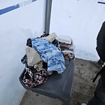 Bus Stop - Shelter Concern at 3315 26 Av SW