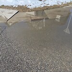 Catch Basin / Storm Drain Concerns at 22 Springborough Wy SW