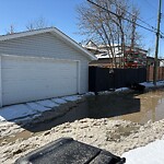 Backlane Maintenance at 50 Montrose Cr NE