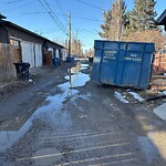 Debris on Backlane at 3112 Kildare Cr SW