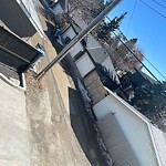 Backlane Maintenance at 5110 20 St SW