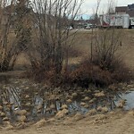 Catch Basin / Storm Drain Concerns at 71 Coverton Ht NE