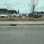 Debris on Street, Sidewalk, Boulevard at 14 Mckenzie Towne Av SE