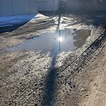 Backlane Maintenance at 334 Whitney Cr SE