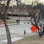 Debris on Street, Sidewalk, Boulevard at 607 24 A St NW