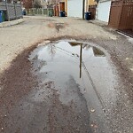 Backlane Maintenance at 44 Lake Twintree Pl SE